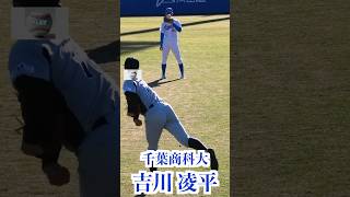 【2026ドラフト候補】鈴木泰成（青山学院大）吉川凌平（千葉商科大）キャッチボール!＃鈴木泰成 ＃吉川凌平 ＃2026ドラフト候補 #侍ジャパン大学野球