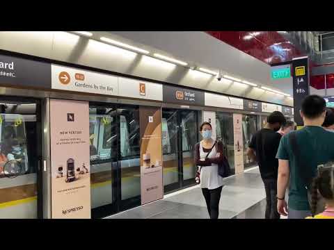 Train Is Departing At Orchard Stn TE14 NS22