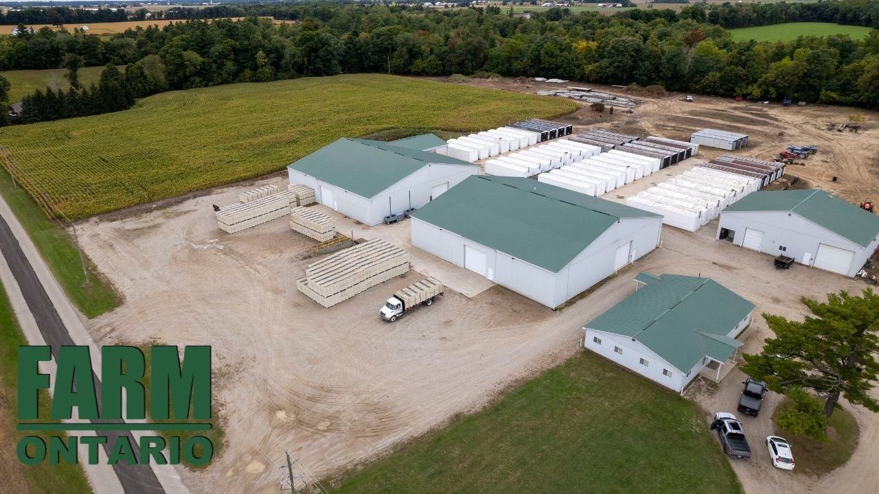 245715 Milldale Rd Otterville ON Farms For Sale In Ontario YouTube