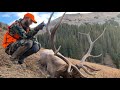 Giant Colorado Backcountry Bull Elk - Limitless 69