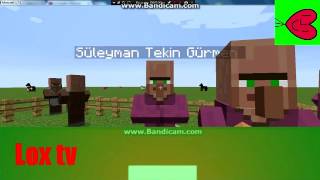 Villagerdale Episode 20