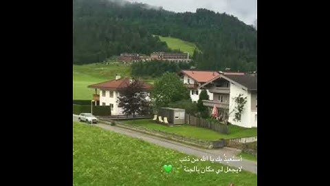 حالات واتس||القارئ/اسلام صبحي||سورة/الشعراء||تصاميم قران||انستقرام||استوري||288#
