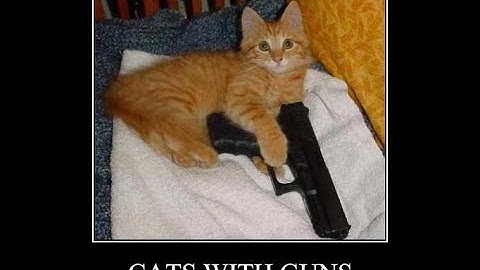 Hilarious Cat Fails (April 2017 FUNNY DOG and CAT Videos Cats vs Dogs