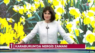 Trt Haber Spikeri - Aslı Noyan - 01.02.2020