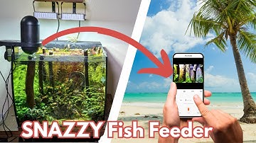 Hygger intelligent visual fish feeder - Setup instructions and HONEST review