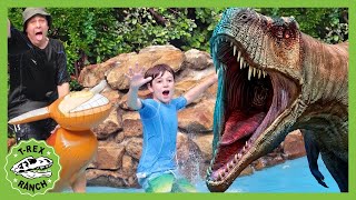 Dinosaur at the Pool with Baby TRex | TRex Ranch Dinosaur Videos
