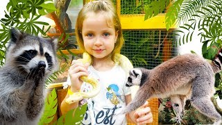 Kids feed animals at the zoo Video for Babies