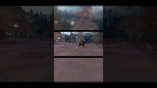 New Cozy Multiscenes Skyboxs | Second Life | Frezz