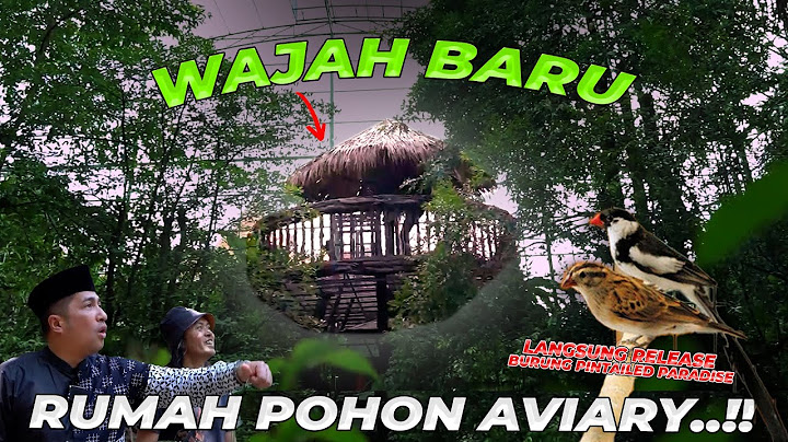 WAJAH BARU RUMAH POHON AVIARY! IDE CAK HERRY RASIO TERWUJUD!