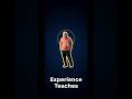 02-Experience Is THE Real Teacher