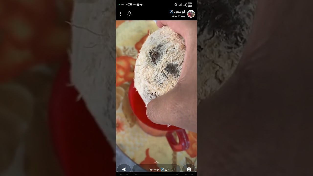 ابوسعود فيتنام 21-9-2023