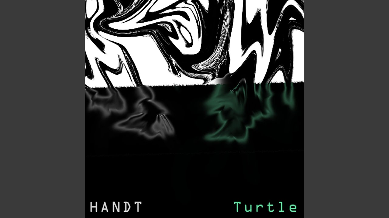 Watch Turtle on YouTube Watch Turtle on YouTube