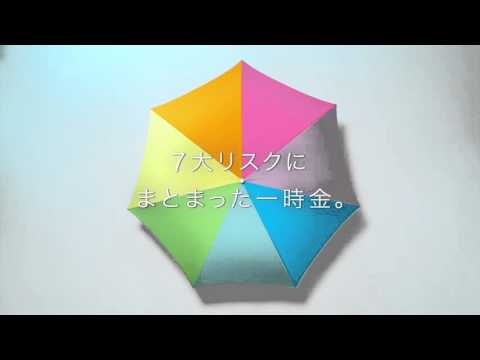 第一生命 「What is Bright Way　アンブレラ」武井咲 東出昌大