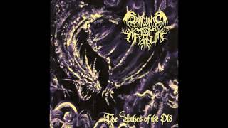 Download lagu Draconis Infernum Draconis Infernum Draconis Infernum Draconis Infernum