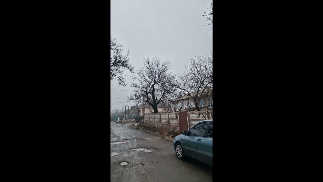 Не пили мужик абрикосы