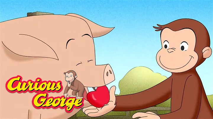 George, the Hog Trainer 🐵 Curious George 🐵 Kids Cartoon 🐵 Kids Movies