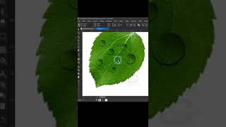 How to Create Water Drop Effect on Leaf In Corel Draw 2022 || #coreldrawtutorial #shorts #shots How to Create Water Drop Effect on Leaf In Corel Draw 2022 || #coreldrawtutorial #shorts #shots
