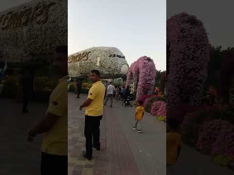 🌻ঘুরে এলাম Dubai Miracle  Garden 🌻