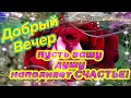 💝Добрый Вечер! 💝 Тебе желаю море счастья, Улыбок, солнца и тепла!☀️🌷💝