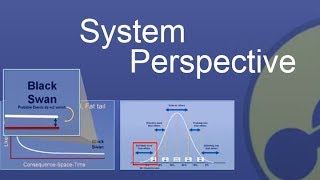 Celebrity System Perspective Net Worth