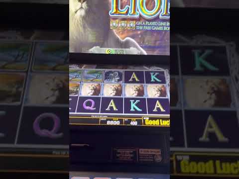 WHITE LION SLOT MACHINE ! Empire city casino dollar machine
