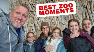 Cheyenne Mountain Zoo Colorado - Best Moments! @KIDALOO