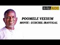 POOMELE VEESUM | ECHCHIL IRAVUGAL | ILAYARAJA | HI RES AUDIO