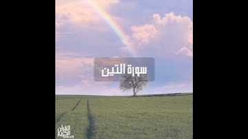 سورة : التين القارئ : هلويست نصر الدين