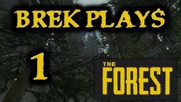 The Forest - Ep. 1 - Crash Landing