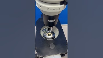 Laxco LMI3-PH2 LMI3000 Series Inverted Microscope w/ 4X 10XPH2 20XPH2 Objectives Seri#D0318-452-0027