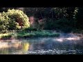 Bruits de la nature, Chants des Oiseaux - "Musique" Relaxante