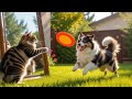 Unleashing Joy: Discover the Adorable Antics of Our Furry Friends and Their Unique Behaviors!