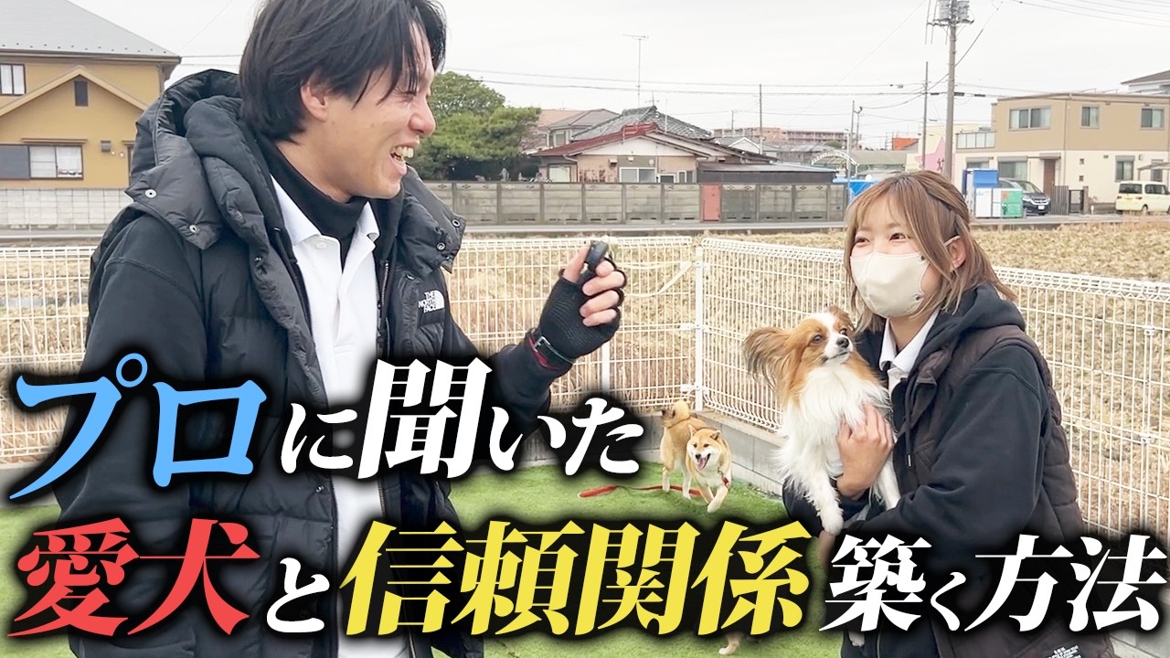 【取材】プロが教える