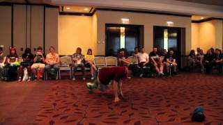 Anthrocon 2012 Last-Fur-One Dance Contest Intro