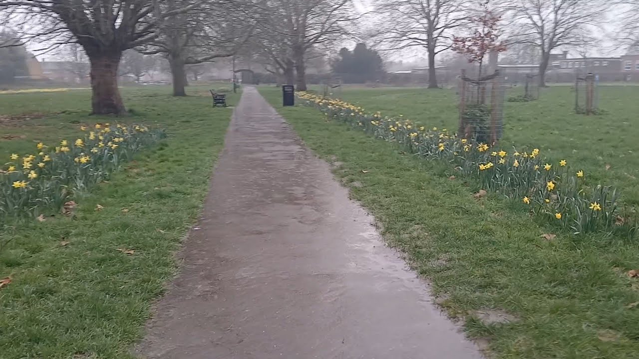 Rainy Spring Walk in a London Park 🌧️ Relaxing Nature Walk UK |love to travel | Video 42