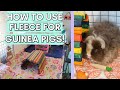 How to use FLEECE for GUINEA PIGS | how fleece bedding works, how to use it properly, & pros & cons