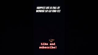 mosh pit adventure! #metal#mos🤘for🤘life #mentalhealth