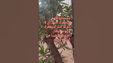 #سورة_النمل #قران_كريم #قرآن_كريم #قرآن #قطر #الجزائر #المغرب #explore #اكسبلور #السعودية #quran