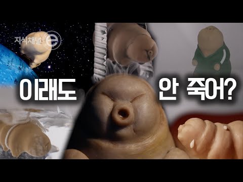 지식채널e - 물곰이 사는 법