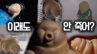 지식채널e - 물곰이 사는 법