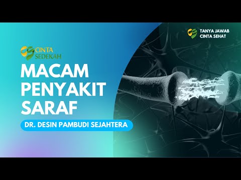 Video: Penyakit Sistem Saraf - Penyebab Dan Gejala Penyakit Pada Sistem Saraf