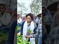 Kalpana Soren | JMM | Jharkhand #shorts #ytshorts #youtubeshorts #youtube #bollywood #song #reels