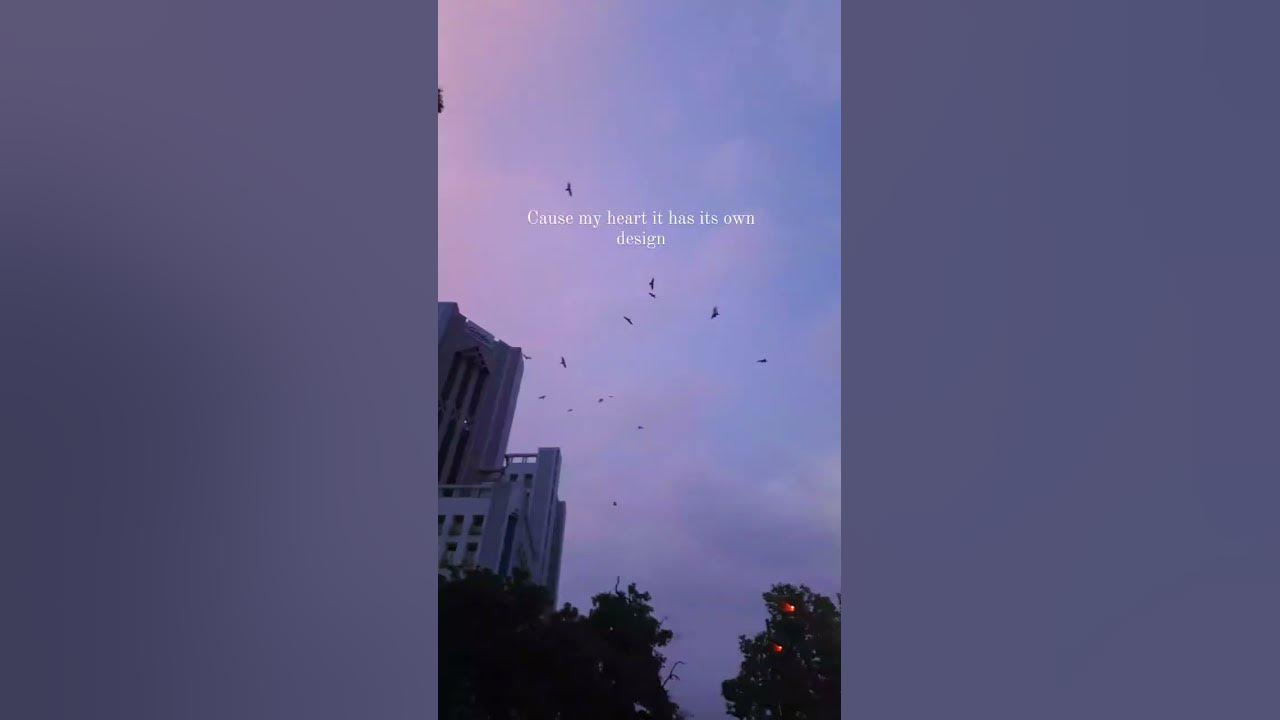 co2 - [ Prateek kuhad ] lyric video