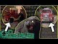 47 Things You Missed In Pet Sematary (1989)