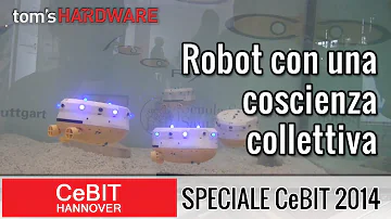 Cosa significa coscienza collettiva?