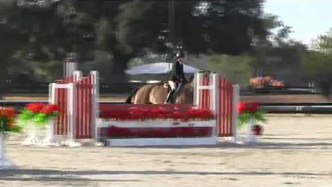 Video of Carl ridden by Abigail Russo from ShowNet!