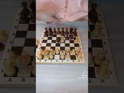 3 Одинаковых хода в шахматах