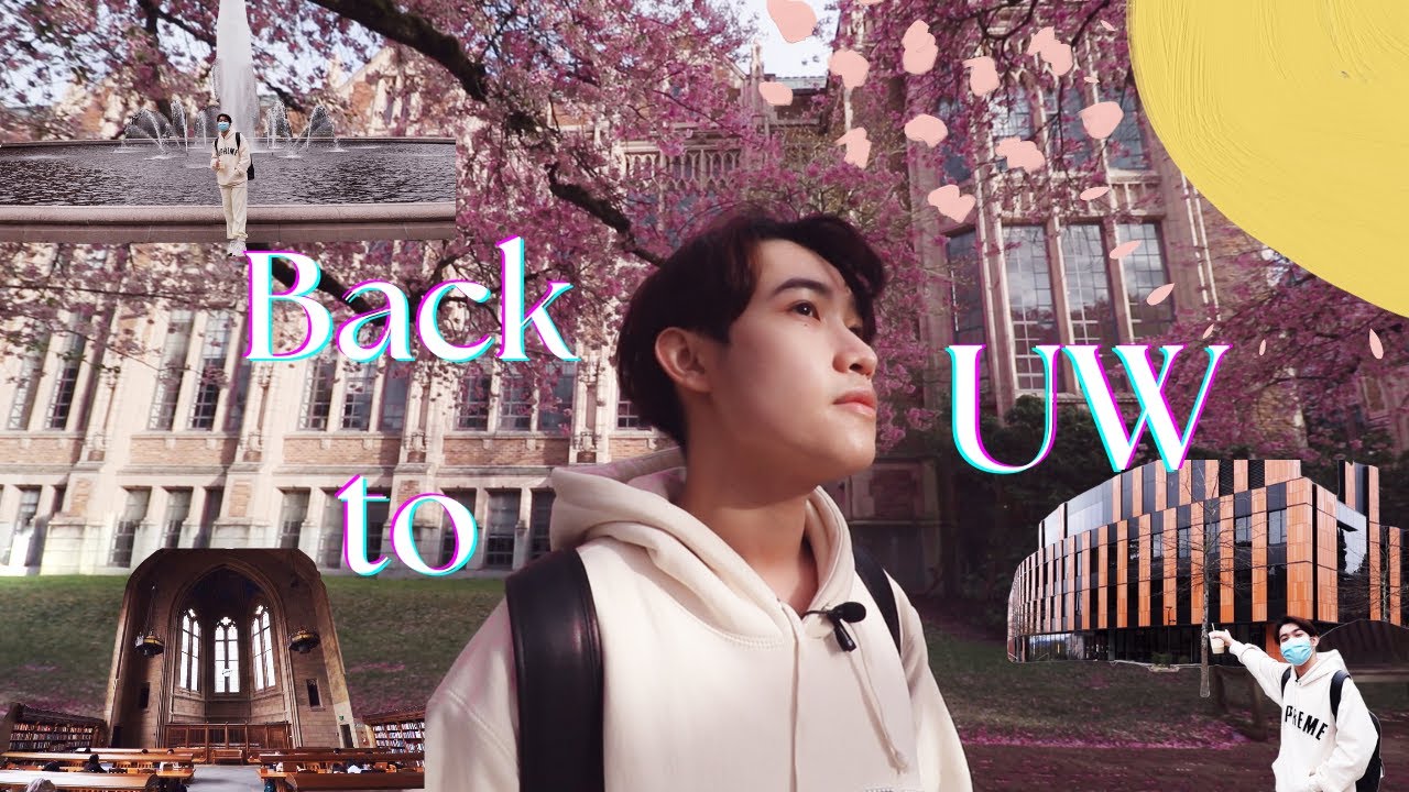 День из моей жизни в Вашингтонском университете | Специальность «Компьютерные науки» | Cherry Blo...