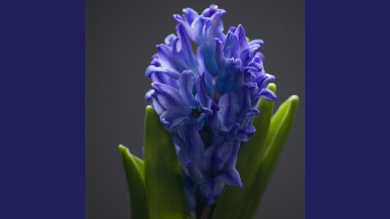 आराम का समय