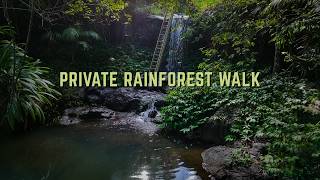 POV: Exploring Our Private Waterfall in the Australian Rainforest | Nature Sounds & Ambient ASMR